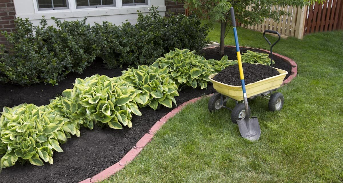 Mulch or Pine Straw: Which Works Best for Your Landscaping?